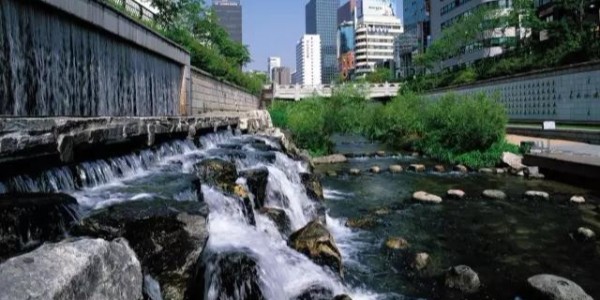 河道景觀設計秘籍：駁岸、親水、綠化、綜合治理、生態(tài)修復及植物選擇