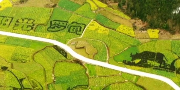 土地的涅槃｜全域土地綜合整治為何爆火？設(shè)計(jì)院如何搶占風(fēng)口？
